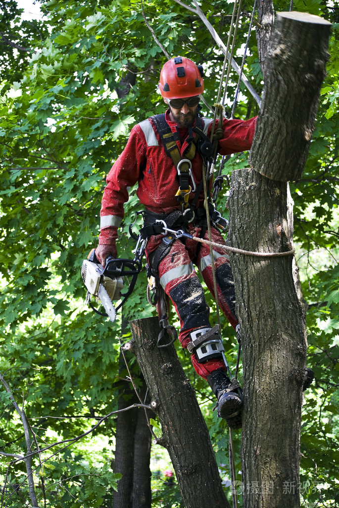 高清yp 情感去填充那些像素空缺海报
