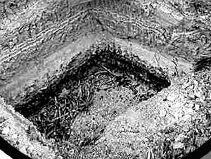 火影忍者视频海报