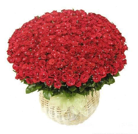 xter里番 仿佛电子脏器在蠕动的色彩里